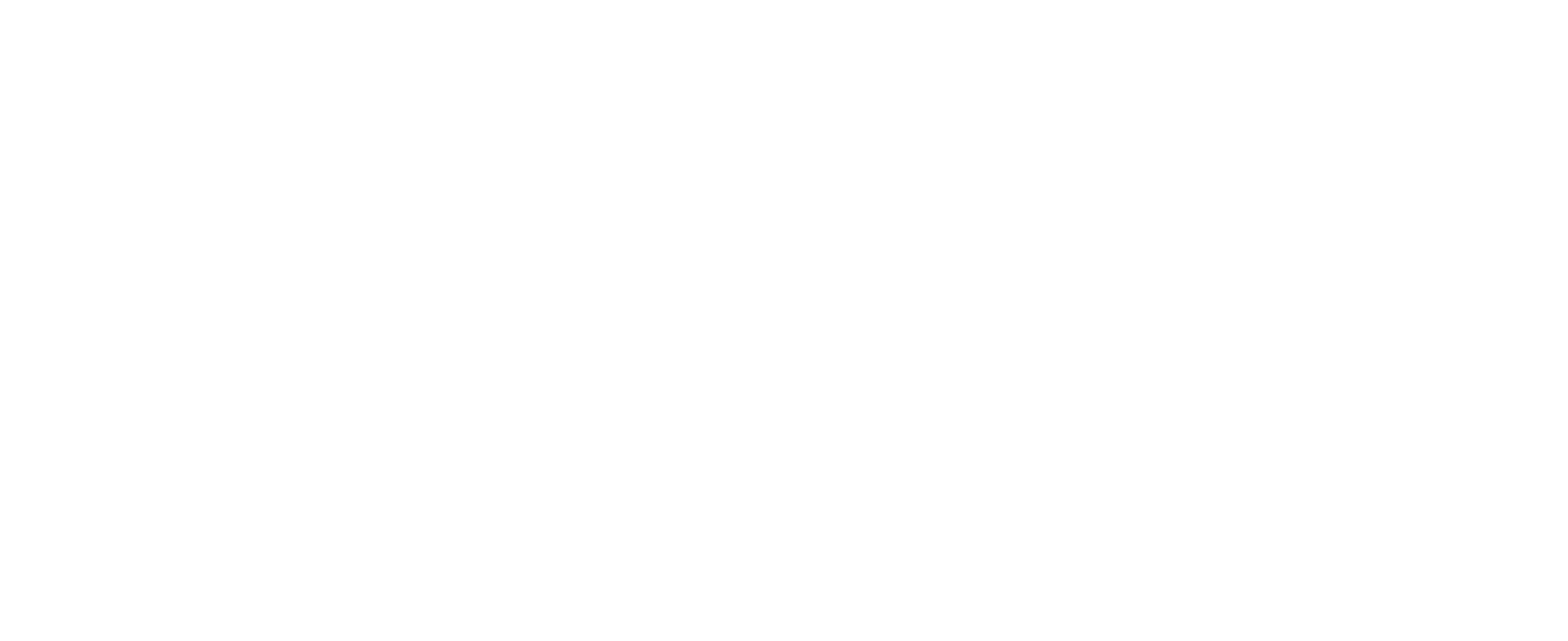Florida Fishing Logo - Light Tackle and Fly Fishing the Flats of Pine Island and Matlacha
