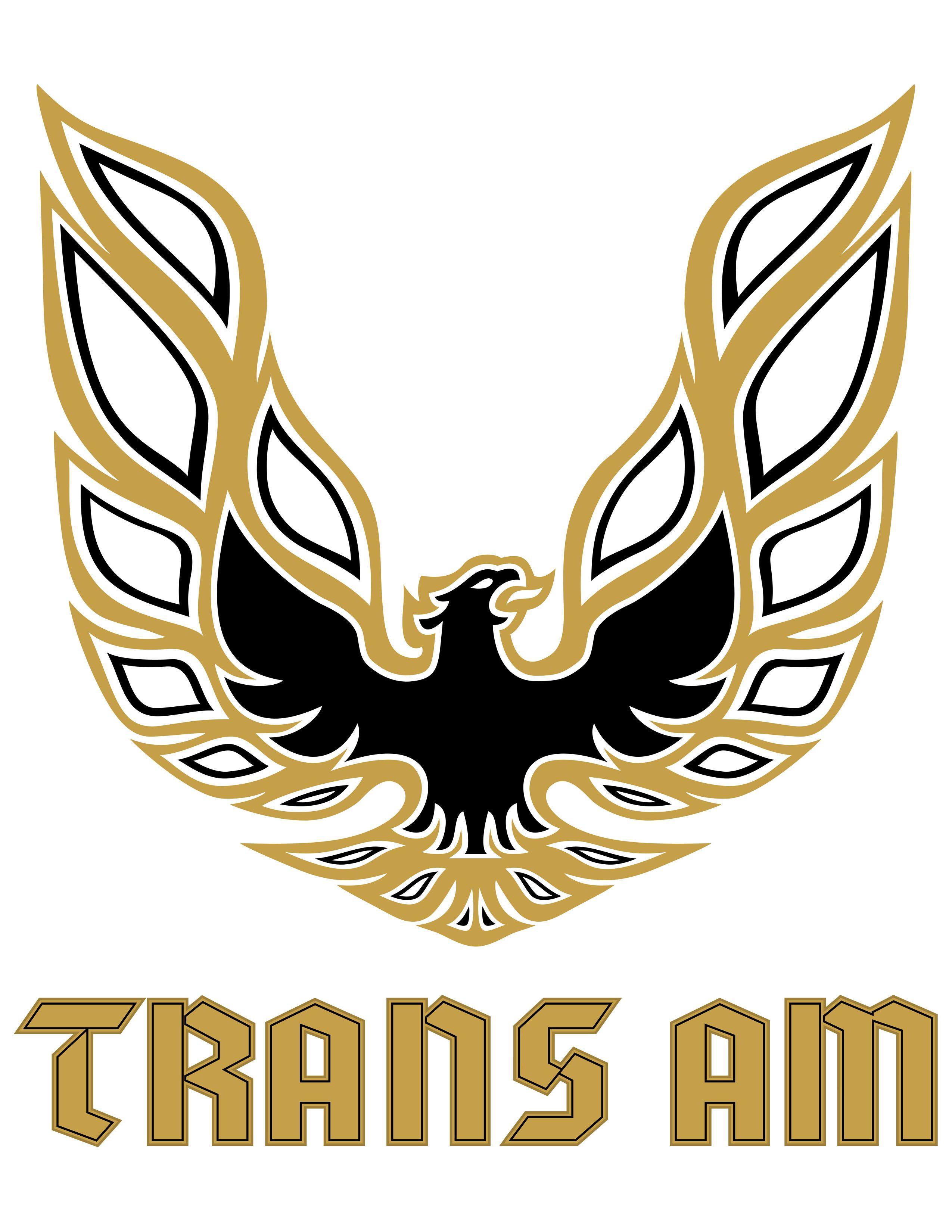 Trans AM Eagle Logo - 1978 trans am decal | ... 1978 Trans Am. The text logo is the front ...