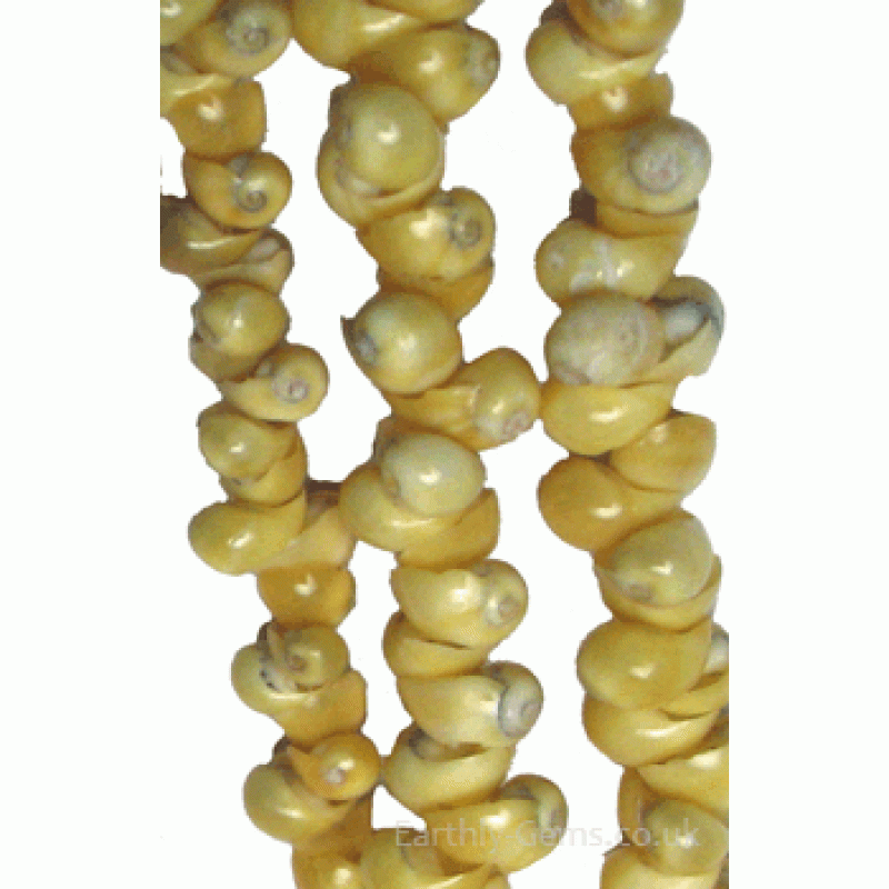 Yellow Seashell Logo - Yellow Seashell Beads