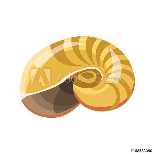 Yellow Seashell Logo - Shell or seashell sea mollusk vector isolated flat icon this