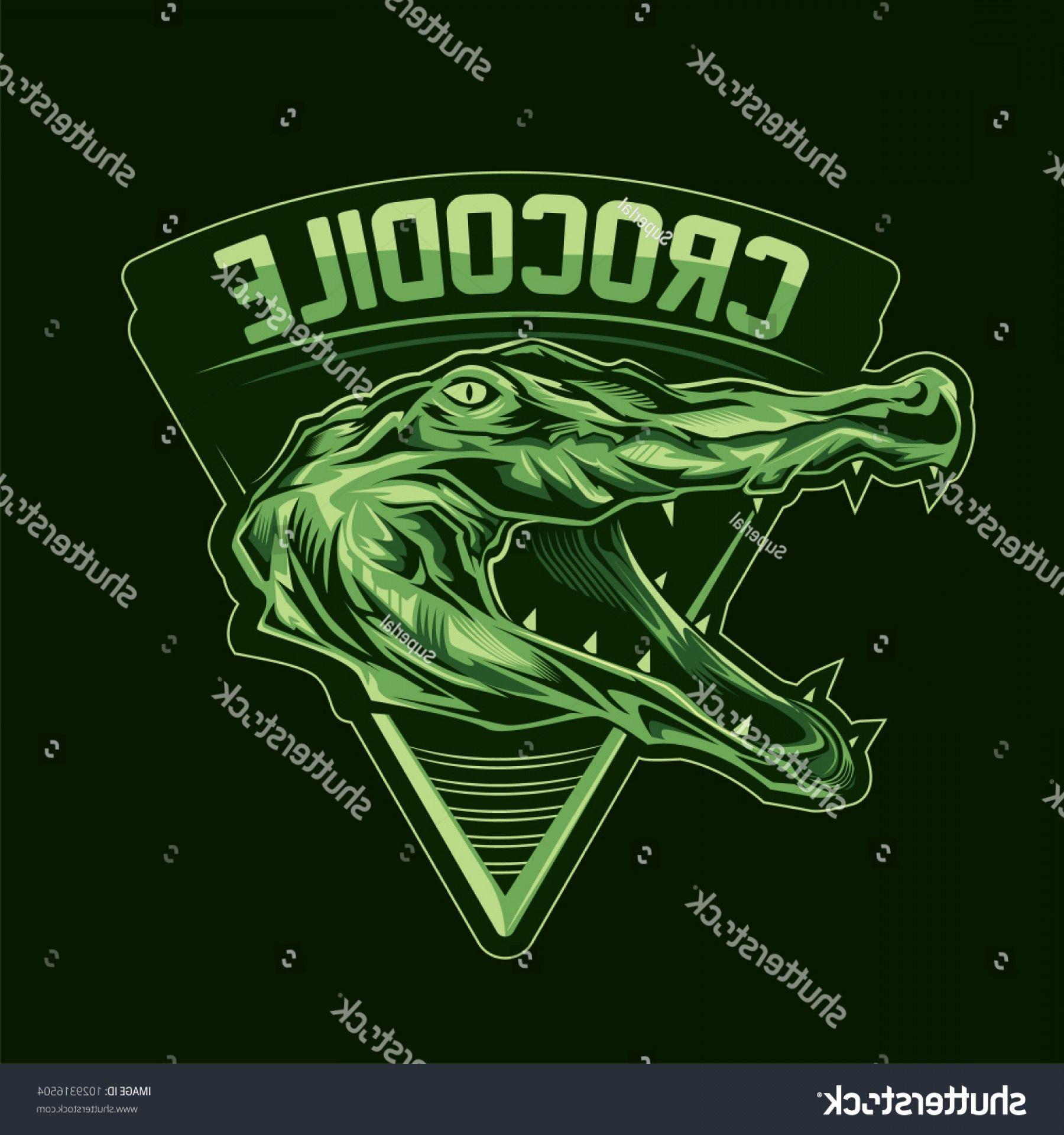 Crocodile Sports Logo - Crocodile Sports Logo Badge Vector