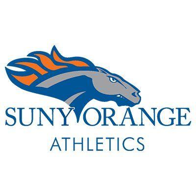 SUNY Orange Logo - SUNY Orange Colts