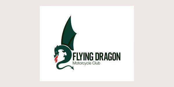 Flying Dragon Logo - 60+ Best Dragon Logo Collection for Download | Free & Premium Templates