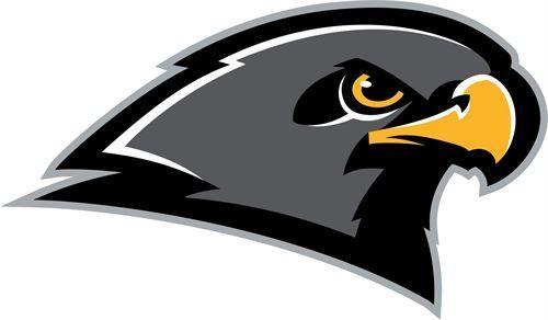 Bird Head Logo - Falcon head logo. Falcon School Mascot. Logos, Sports