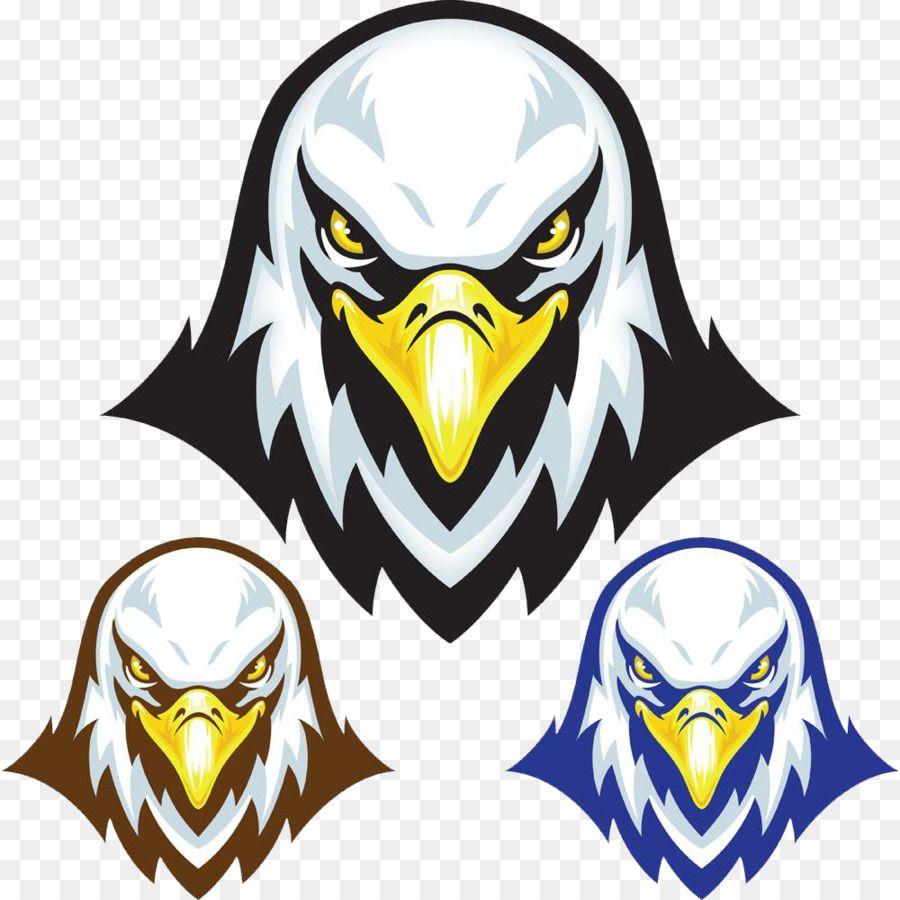 Bird Head Logo - Bald Eagle Stock illustration Mascot Head logo png download