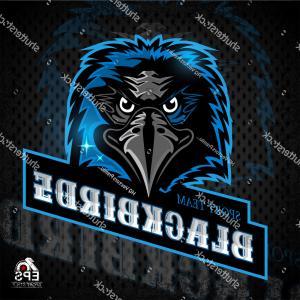 Bird Head Logo - Bird Head Logo Any Sport Team
