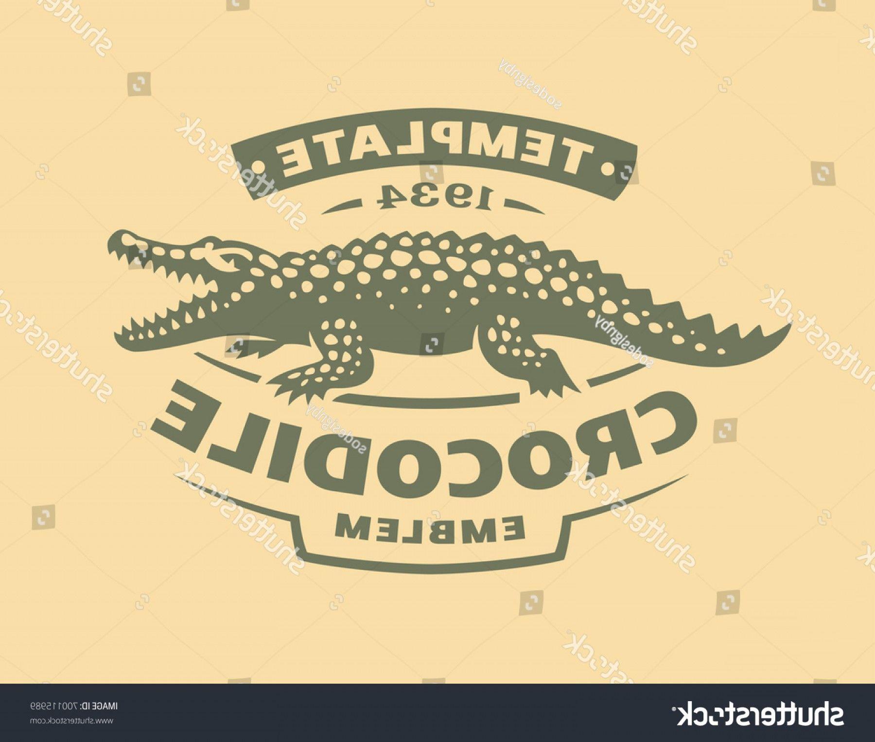 Alligator Vector Logo - Crocodile Logo Vector Illustration Alligator Emblem