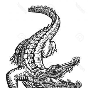 Alligator Vector Logo - Royalty Free Vector Logo Of A Intimidating Alligator Mascot Outline