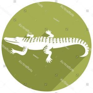 Alligator Vector Logo - Crocodile Logo Template Symbol Of Alligator Vector | ORANGIAUSA