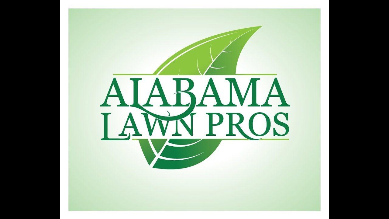 Lawn Care Logo - REVEALED: My new lawn care logo.LOVE IT or HATE IT?