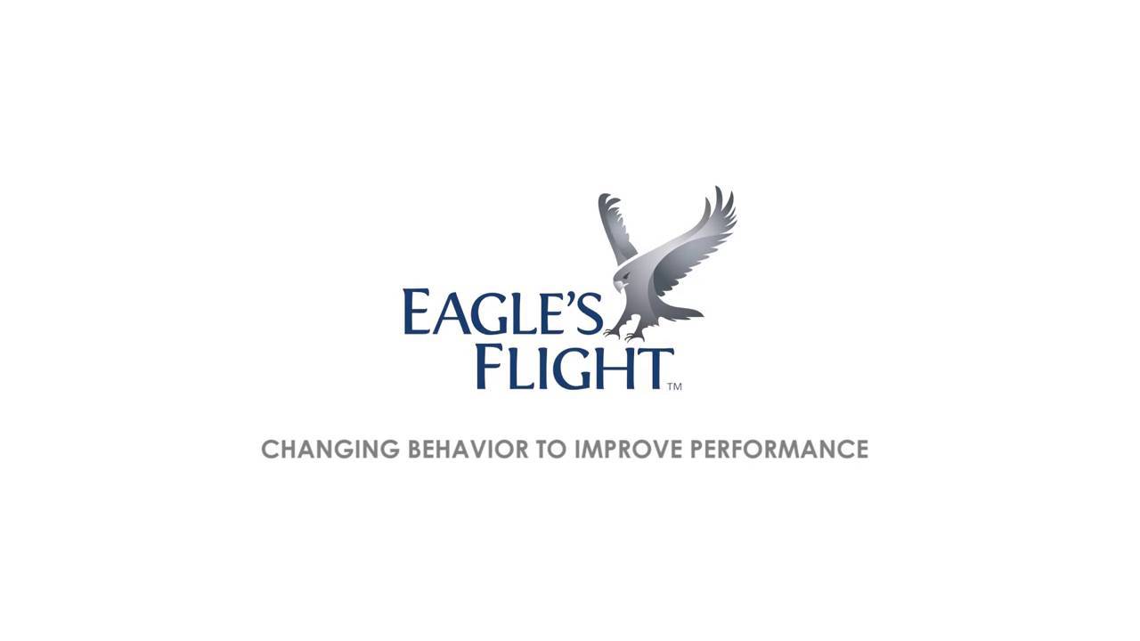Eagle Airline Logo - Experiential Organizational Training & Development. Eagle's Flight