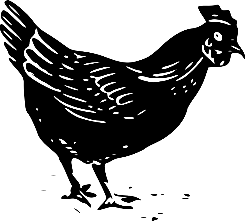 Black and White Chicken Logo - Download Chicken Clip Art ~ Free Clipart of Cute Baby Chicks, Hens ...