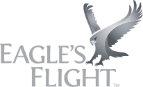 Airline with Eagle Logo - Experiential Organizational Training & Development | Eagle's Flight