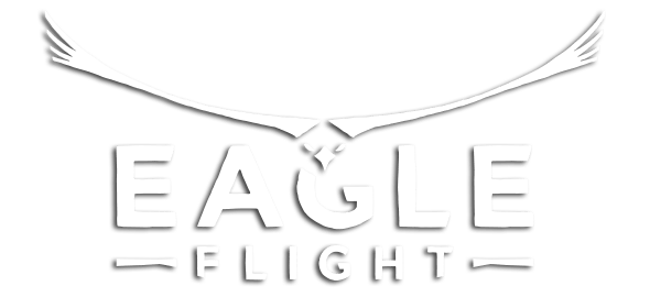 Take Flight Logo - Ubisoft - Eagle Flight