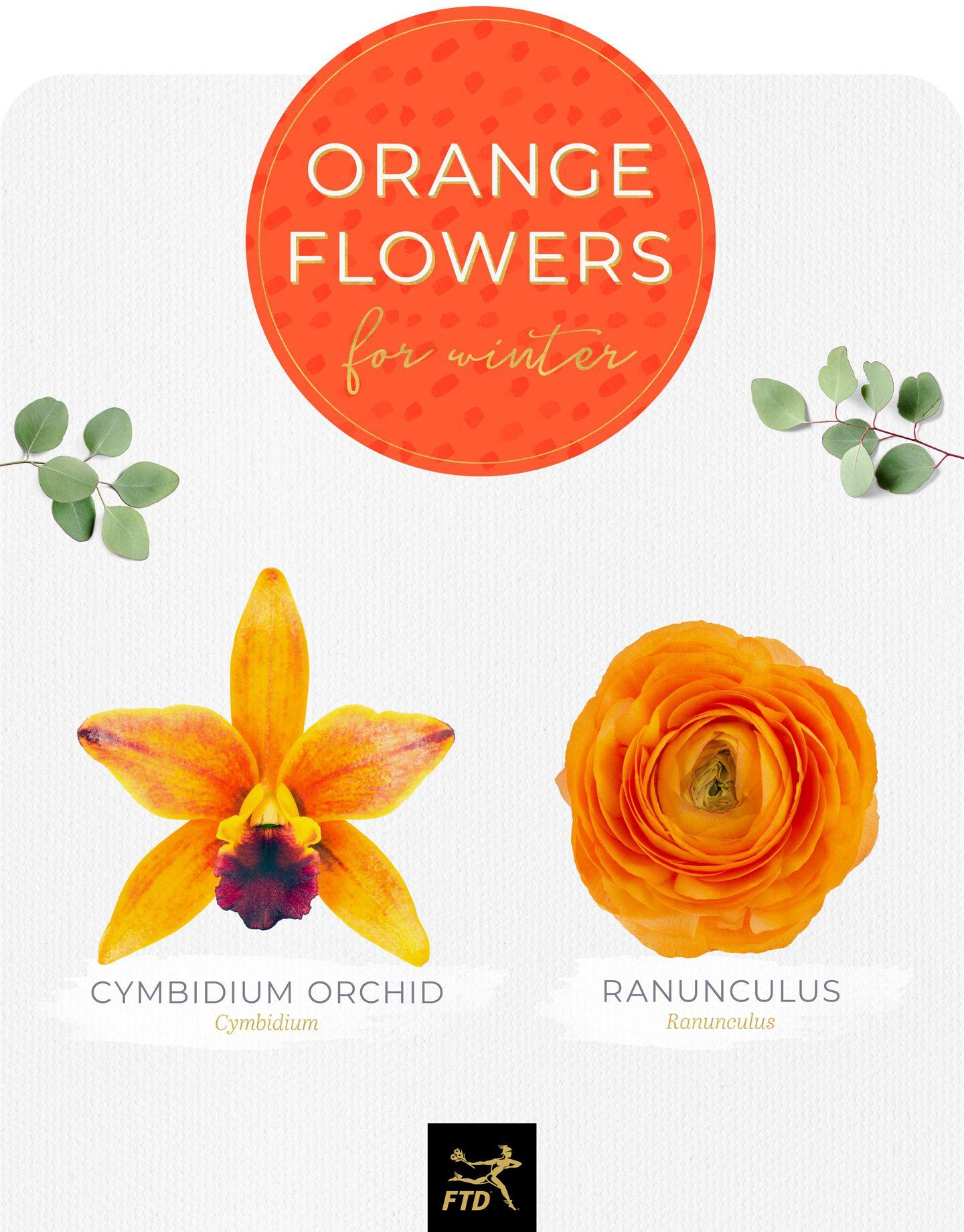 FTD.com Logo - 20 Types of Orange Flowers - FTD.com