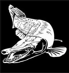 Alligator Gar Logo - ALLIGATOR GAR Bowfishing Sticker bow Fishing arrow TROPHY HUNTER