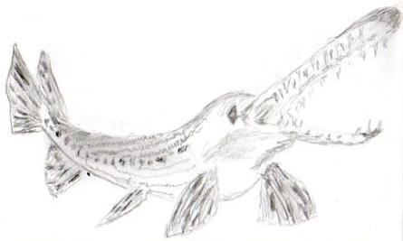 Alligator Gar Logo - Croka Bass” – Alligator Gar | One Sketch a Day...