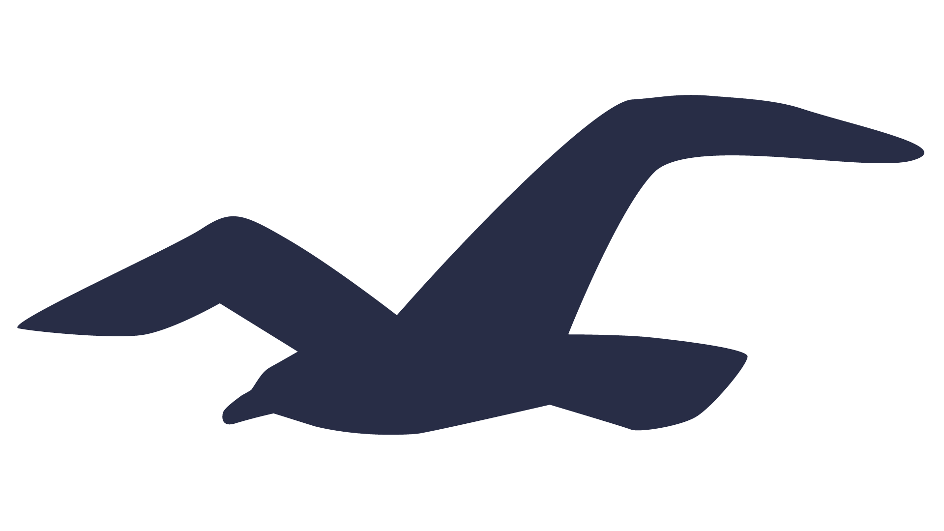 Hollister Bird Logo - LogoDix