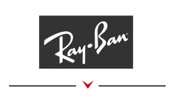 Ray-Ban Logo - Rayban Never Hide Advertising Work
