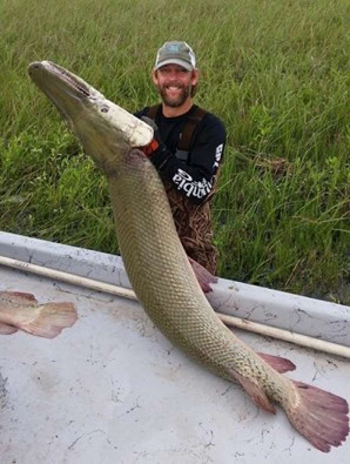 Alligator Gar Logo - Texas Fishing: Matagorda Bay alligator gar is a real monster ...