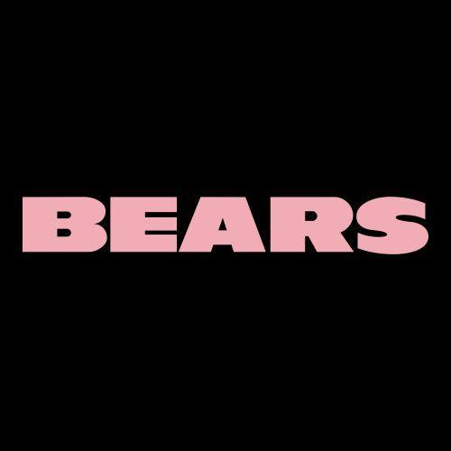 Pink Chicago Logo - Pink Chicago Bears CAD CUT Script Logo 1974-Present iron on ...