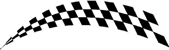 Checkered Flag Logo - CHECKERED FLAG DECAL / STICKER 39