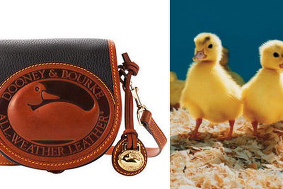 Most Famous Rooster Logo - 12 Brands With Animal Logos and Their Real-Life Counterparts - Racked