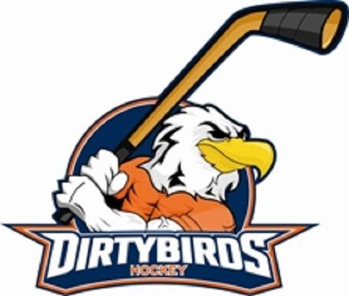 Funny Hockey Logo - Local Big Time: 25 Hockey Logos You've Never Seen in Person