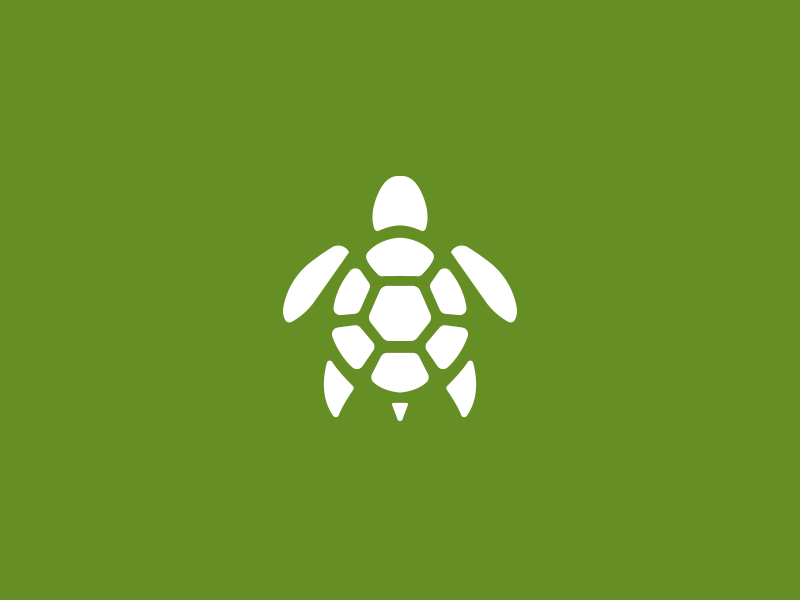 Turtle Logo - Turtle logo by Damian Patkowski | Dribbble | Dribbble