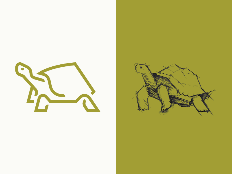 Turtle Logo - Turtle - Logo Process by Calin Ciobanu | Dribbble | Dribbble