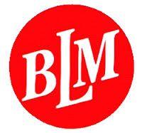 BLM Logo - BLM Logo - Integrated Management Solutions (Global) Ltd