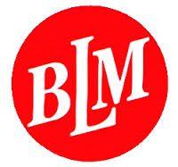 BLM Logo - BLM Logo Management Solutions (Global) Ltd