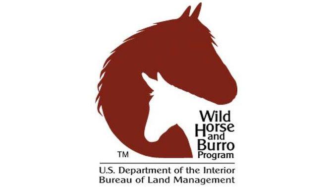 BLM Logo - BLM WH&B Logo. Protect Mustangs™