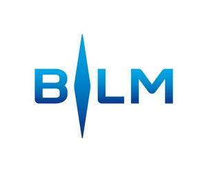 BLM Logo - BLM