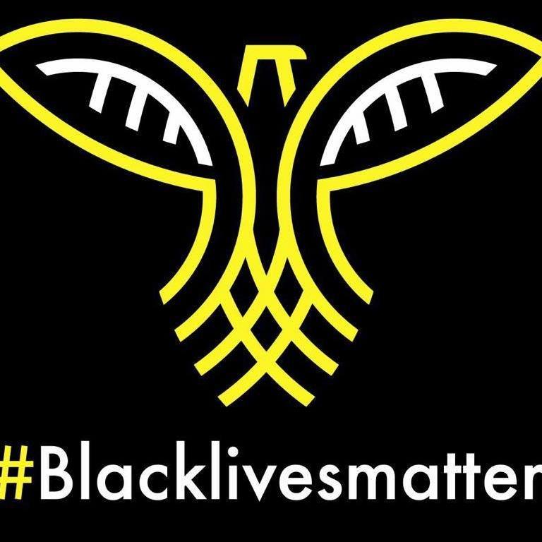 BLM Logo - Blm Logo Is On Cosecha. The Silent Majority No More!