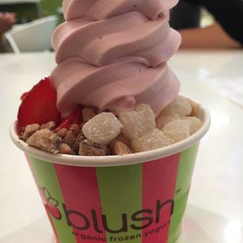 Froyo Ice Cream Logo - Blush Organic Frozen Yogurt Photo & 606 Reviews Cream