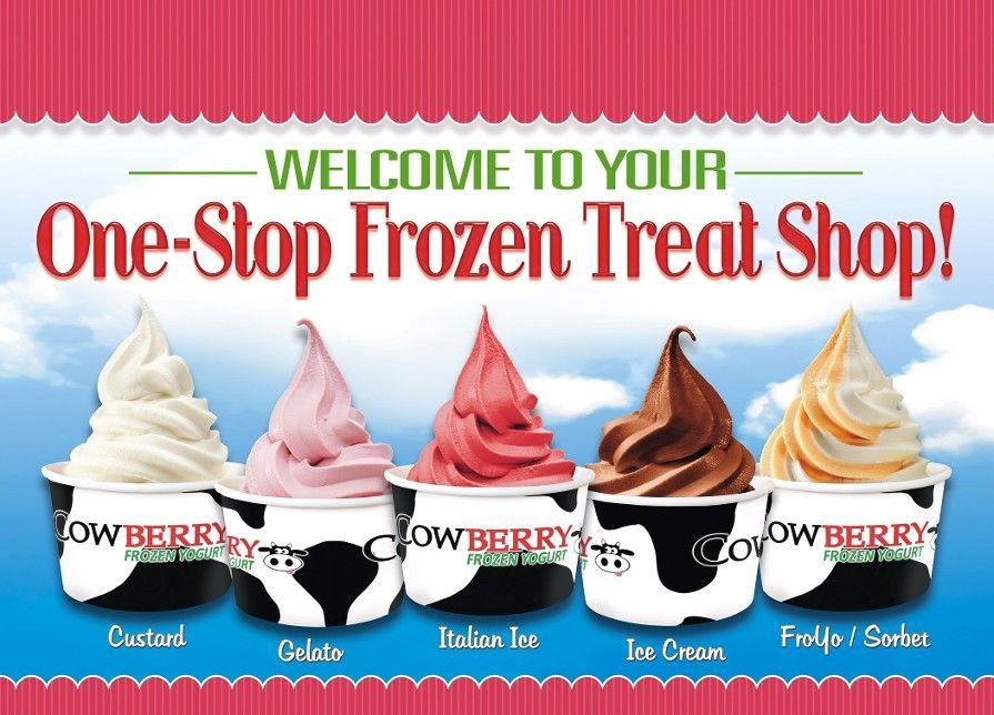 Froyo Ice Cream Logo - Ice Cream & Frozen Yogurt Franchise for QSRs & Convenience Stores