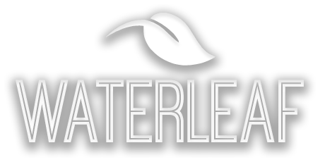 Water Leaf Logo - Homes - Waterleaf