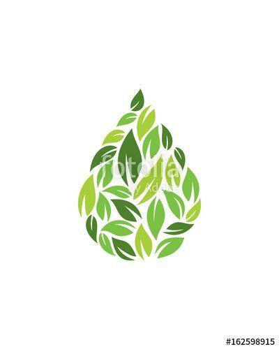 Water Leaf Logo - Water Leaf ;Logo Stock Image And Royalty Free Vector Files