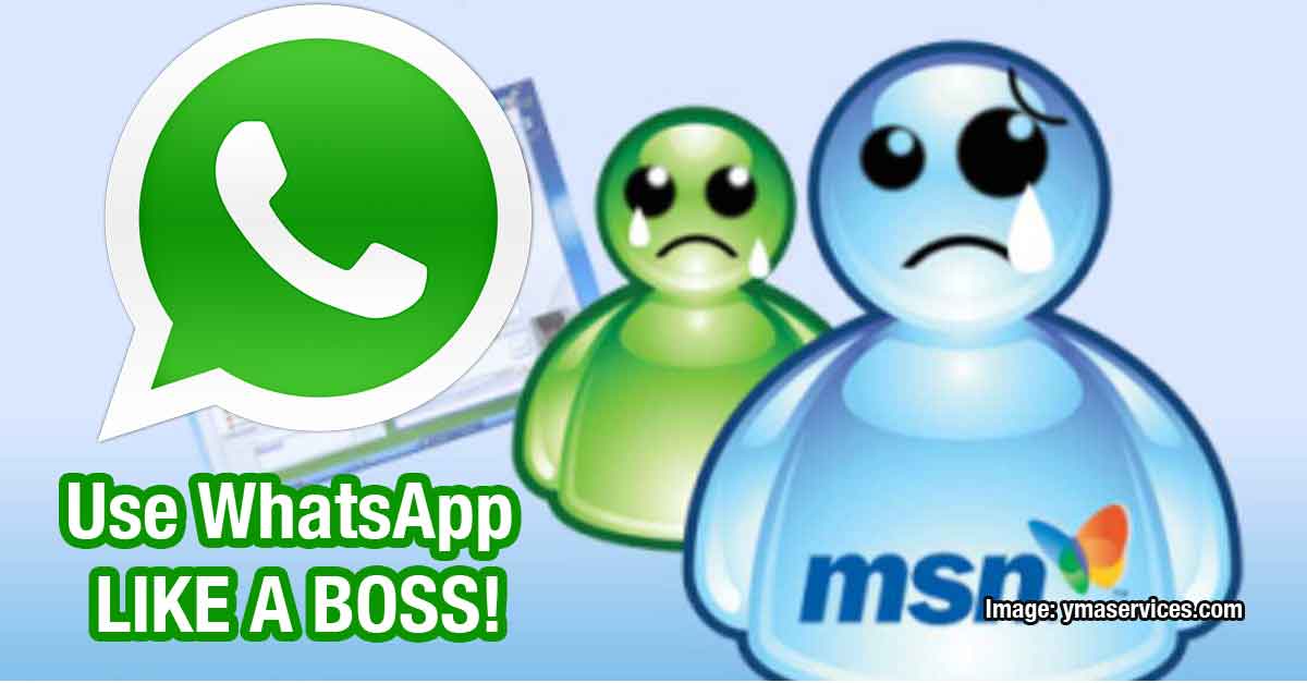 MSN Messenger Logo - How to use WhatsApp Web like MSN Messenger
