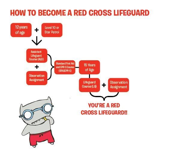 Red Cross Lifeguard Logo - Red Cross Lifeguard. Active Living. University of Calgary
