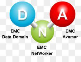 EMC NetWorker Logo - Free download Brand Logo Lead generation Technology - emc png.
