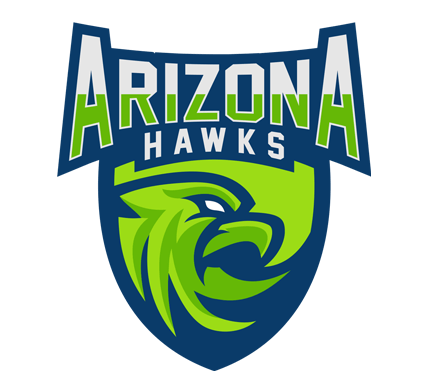Custom Sports Logo - Arizona Hawks Custom Logo | Custom Hawk Sports Logo Design - Lobotz