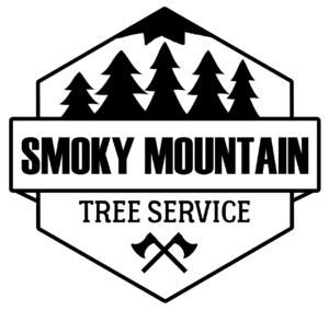 Tennessee Mountain Logo - VOTED BEST Knoxville Tree Service Company | Tree Care in Knoxville ...