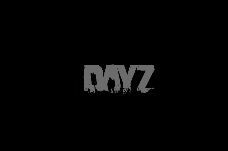 DayZ Logo - Bohemia plan DayZ Beta release and version 1.0 in 2018