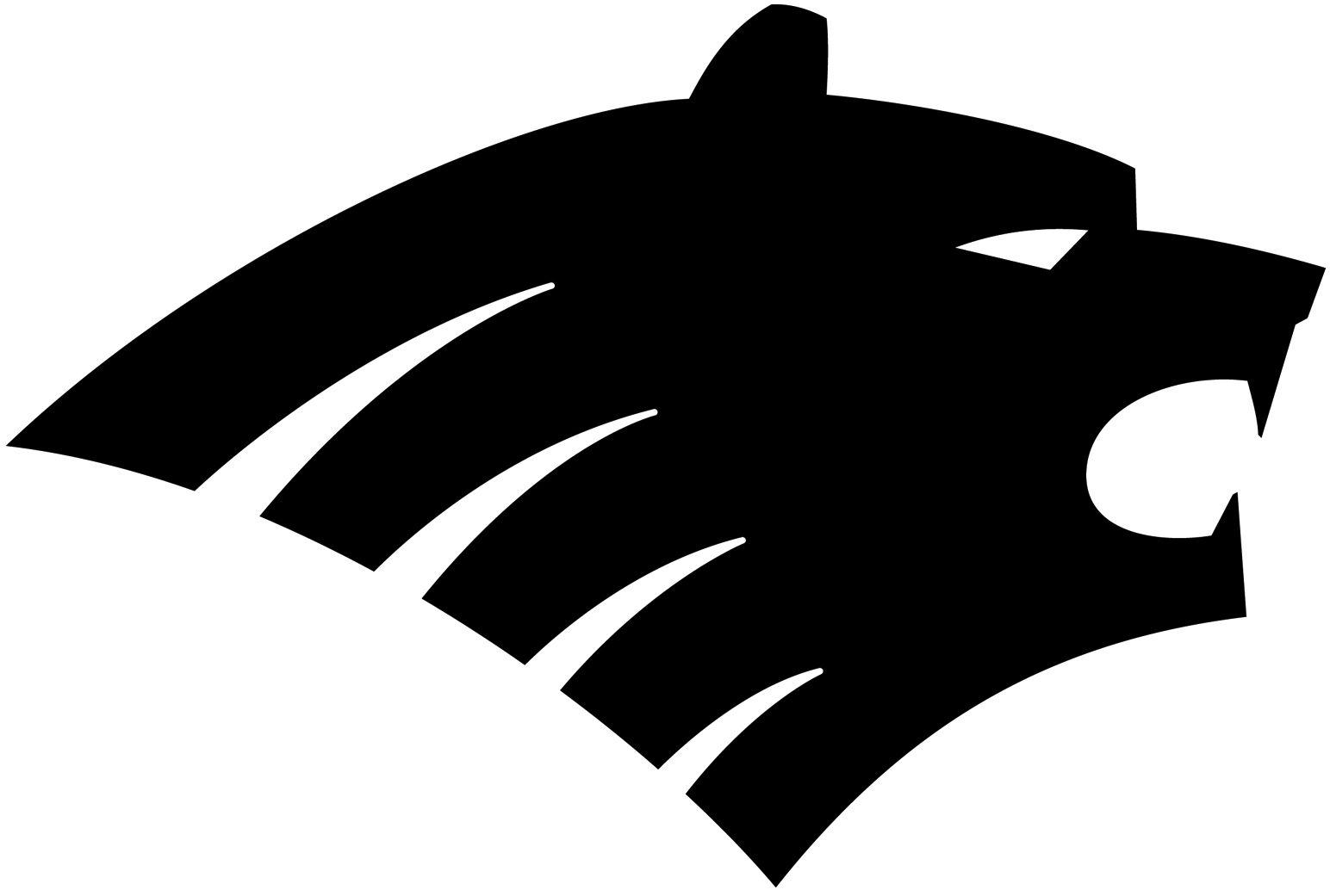 Black Bear Logo - Black bear picture Logos