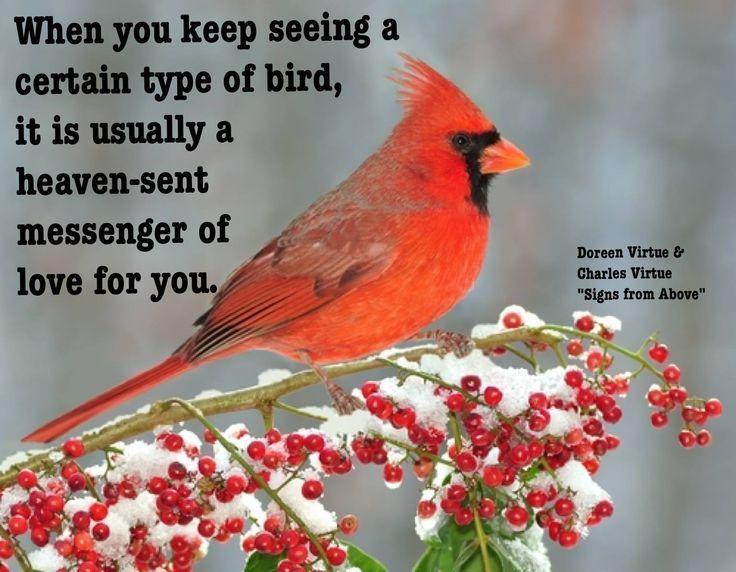 Red and with a Red Bird Logo - Red Cardinal Bird Quotes | Birds | Pinterest | Birds, Sayings and ...