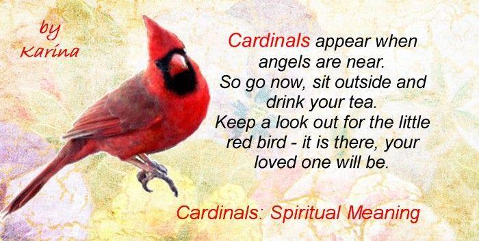 Red and with a Red Bird Logo - Cardinals Spiritual Meaning: Symbol Of Cardinal Birds, What It Means