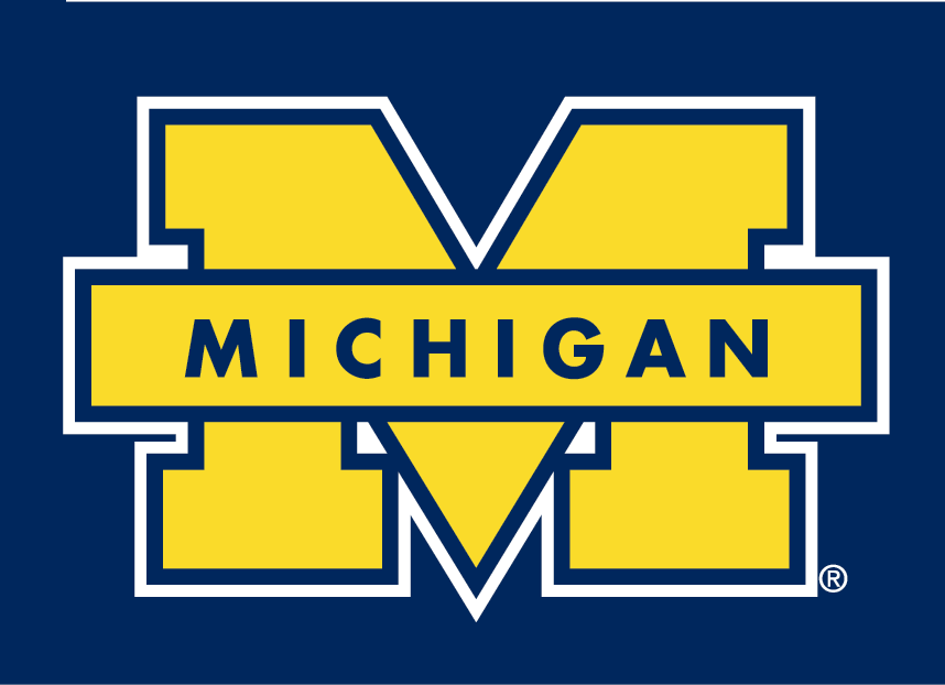 Michigan Wolverines Logo - Michigan Wolverines Secondary Logo Division I (i M) (NCAA I M