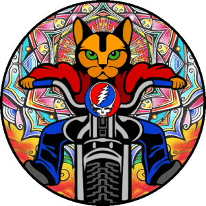 Grateful Dead Cat Logo - Hire The China Cat Riders Dead Tribute Band in Kingston